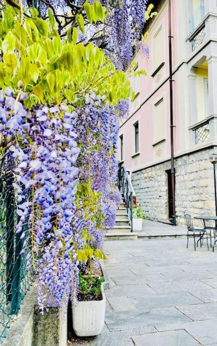 Charming & Luxury Villa Como Lake Extérieur photo
